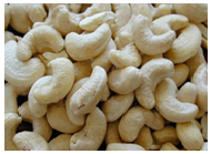 Cashew (Kaju)