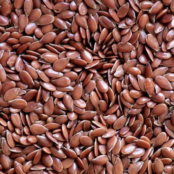 FLAX SEED