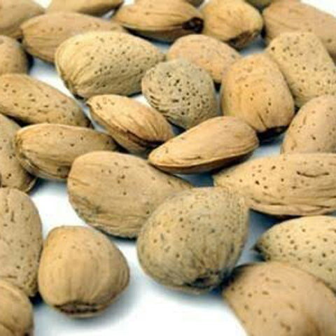 Almonds (BADHAM)-SPECIAL BOLD